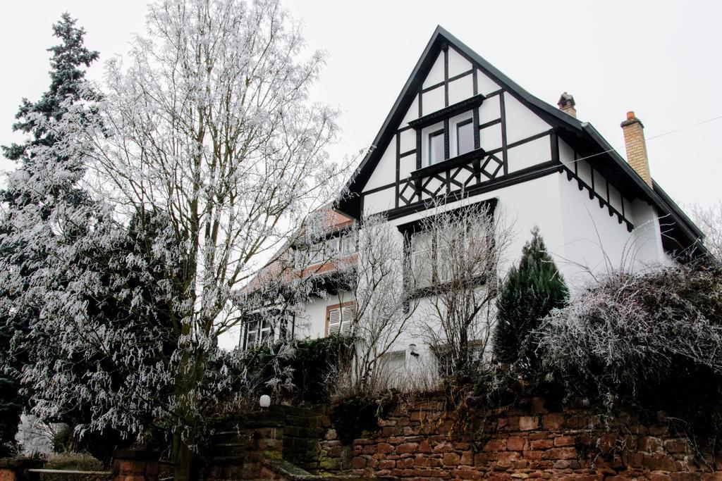 La Villa Du Coteau Obernai Exteriör bild